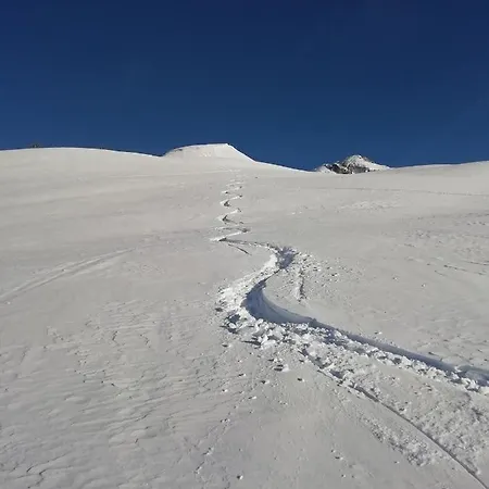 Les Sequoias Deux Alpes *