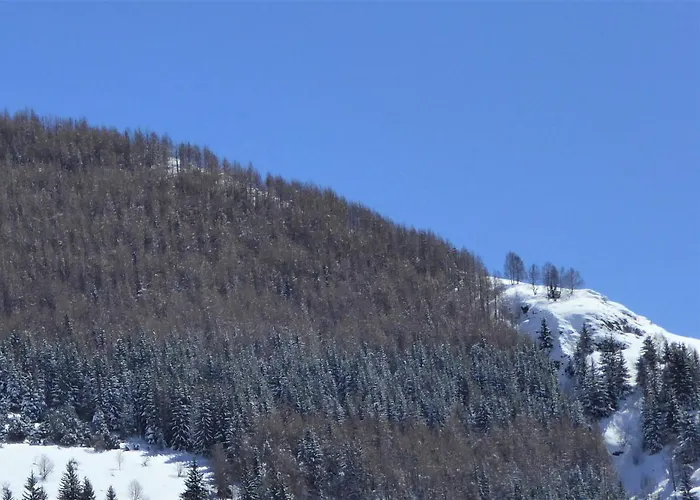 Les Sequoias Deux Alpes Апартаменты