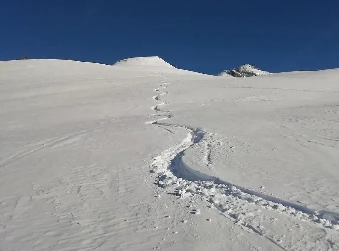 Les Sequoias Deux Alpes *