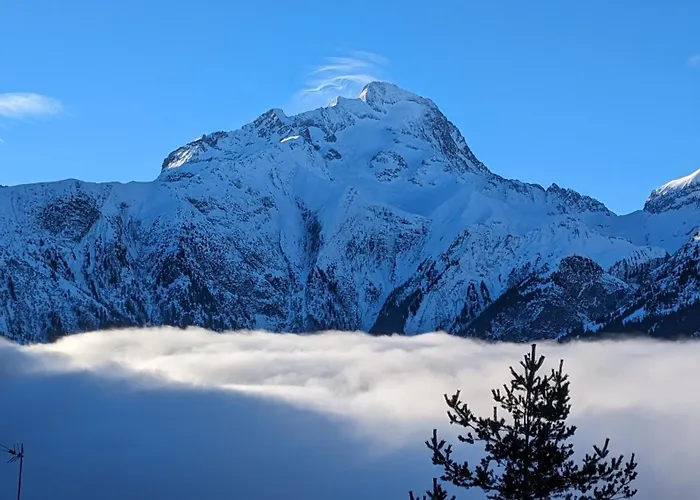 Les Sequoias Deux Alpes